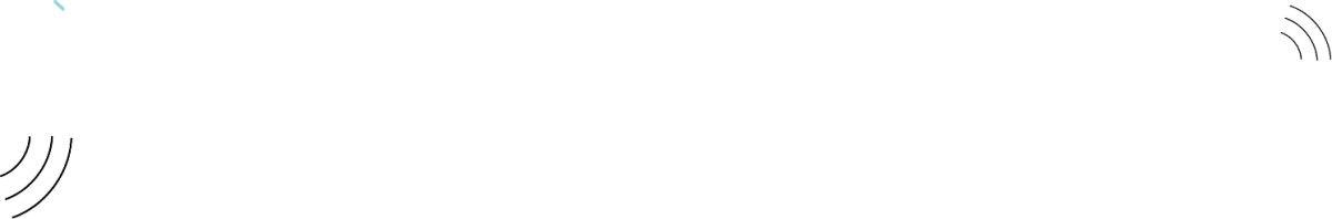 Dgita